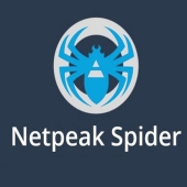 Обзор SEO-комбайна Netspeak Spider — инструкция и отзыв