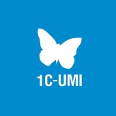 Облачный конструктор 1C-UMI cloud: создаем сайт с 0